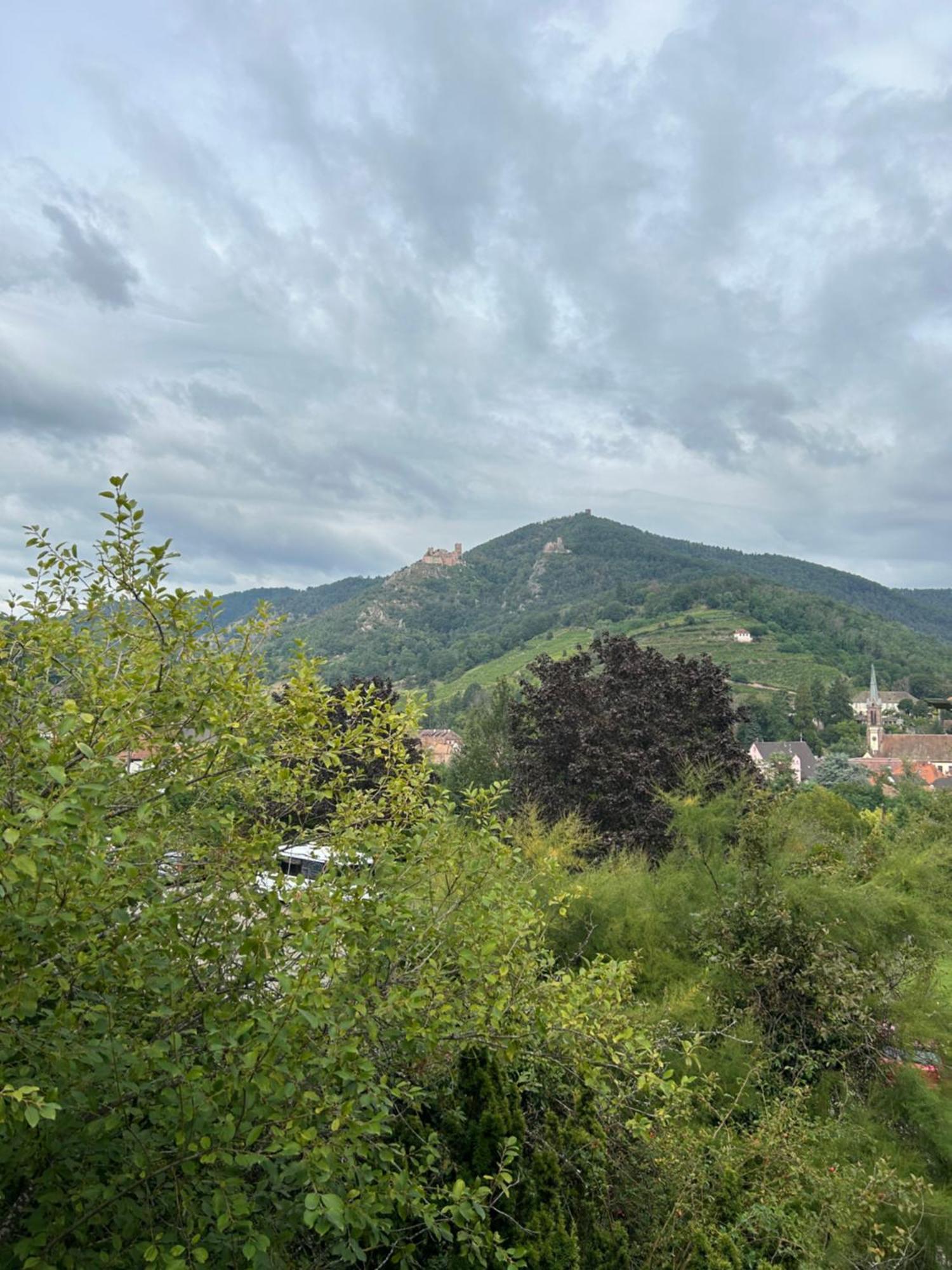 Vue Magnifique Sur Les Chateaux Ribeauville  Exterior photo